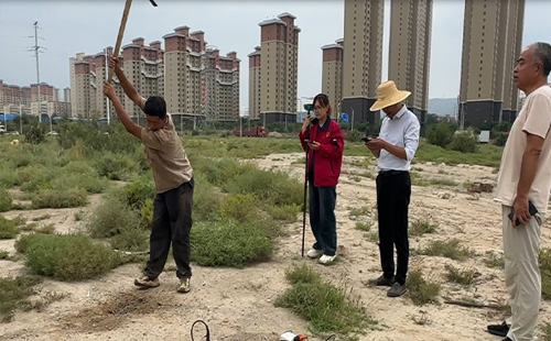 黄色看片APP下载中的挑战与对策：确保地质数据的准确性与全面性